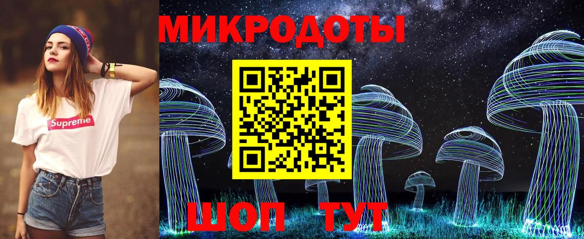 Галлюциногенные грибы Psilocybine cubensis Вологда